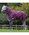 Weatherbeeta Comfitec Plus Dynamic II Detach-A-Neck Lite Turnout Sheet