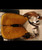 Used Dale Rodrigez Western Saddle