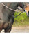 Kincade Flat Running Martingale| Running Martingales|Brand: Kincade