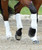 Weatherbeeta Prime Fleece Polo Bandages.