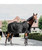 Kentucky Horsewear Mesh Combo Cooler Sheet, Black.