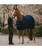 Kentucky Horsewear 4D Spacer Cooler, Navy.