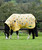 Saxon 600D Pony Combo Neck Turnout, Rhino print.