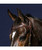 Dy'on D Collection Flat V-Shaped Browband, shown on horse.