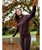 LeMieux Elspeth Hoodie, Damson, lifesttyle.