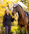 LeMieux Rose Hooded Puffer Ladies Jacket, FW25.