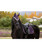 LeMieux Loire Classic Satin Dressage Saddle Pad FW25, lifestyle, Juniper.
