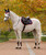 LeMieux Loire Classic Contrast Satin Jump Pad FW25, Navy/Cranberry, lifestyle.