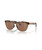 Oakley Frogskins Range A Sunglasses, Brown Tort/Brn Smoke/ Prizm Tung.
