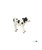 Papo Toy Black and White Calf.