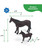 Big Country 6666- Quarter Horse Set, dimensions.