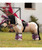 LeMieux Toy Pony Saddle Pad 2026, lifestyle.