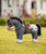 LeMieux Toy Pony Western Saddle Pad 2026, lifestyle.