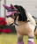 LeMieux Toy Pony Fly Veil 2026.