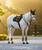 LeMieux Brilliance Close Contact Saddle Pad, Black, lifestyle.