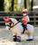 LeMieux Harlow Toy Rider, riding Popcorn.
