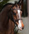 LeMieux Stitched Hunter Bridle with Laced Reins.