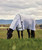 Weatherbeeta Airstream Detach-A-Neck Sheet SS26, grazing.