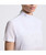Cavalleria Toscana Ladies Stripe Jersey Short Sleeve Competition Shirt, white.