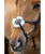 LeMieux Kudos Grackle Bridle, noseband detail.