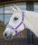 Equinavia Saga Fleece Padded Breakaway Halter SS26, Deep Lavender / Slate Grey.