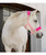 Equinavia Saga Fleece Padded Breakaway Halter SS26, Sweek Pink / Pink Flambe.