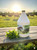 Advanced Appetite Gallon, Mint.