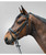 Waldhausen Star Diamond Bridle with Flash, Black.