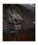 Waldhausen Girth Extender, lifestyle 2.