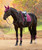 LeMieux Dressage Luxury Suede Feel Saddle Pad FW26.
