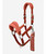 LeMieux Vogue Halter & Lead FW26, Russet.