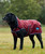 Weatherbeeta Comfitec Premier Deluxe Waterproof Dog Blanket.