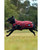 Weatherbeeta Comfitec Premier Deluxe Waterproof Dog Blanket, lifestyle 3.
