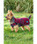 Weatherbeeta Comfitec Premier Deluxe Waterproof Dog Blanket, lifestyle small dog.