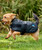 Weatherbeeta ComfiTec Classic Waterproof Dog Caot FW26, small dog.