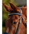 Dublin Padded Comfort Crown Patent Flash Bridle, browband detail.