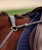 Dublin 3 Point Breastplate,wither strap.