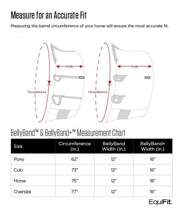 EquiFit Belly Band For Spur Protection Horse