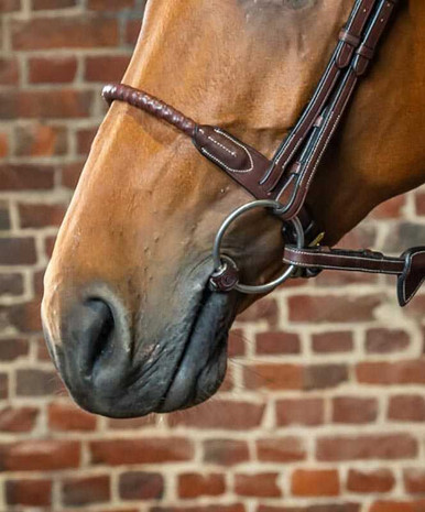 Dy'on Leather Covered Rope Noseband main image 1