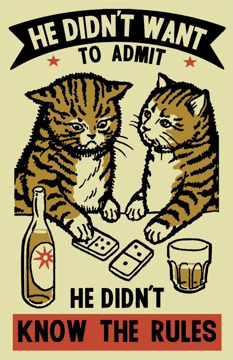 Drunk Cat Poster Didn't Want To Admit He Didn't Know Rules