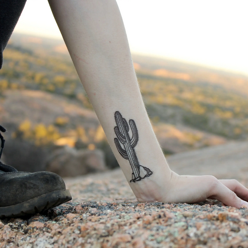 30 lindas tatuagens de cactos  Tatuagem geométrica, Tatuagem