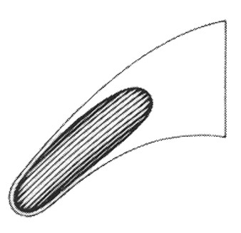 1100-594 - EXTRACTING FORCEPS TC DUST #62