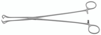 516-231 - BABCOCK TISSUE FORCEPS STRAIGHT 12"