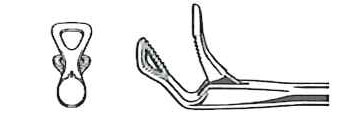 1301-260 - LARYNGOSCOPY FORCEPS CONICAL TUBE 2mm SHAFT HEART SHAPE ANGLE UP 9"