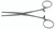 115-520 - ROCHESTER OCHSNER FORCEPS SERRATED STRAIGHT 1x2T 6 1/4"