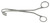 516-246 - RANDALL KIDNEY STONE FORCEPS FULL CURVED 8 3/4"