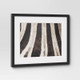 New - 20" x 16" 2pc Zebra Close up Glass Framed Wall Posters - Threshold