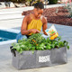 Open Box Back to the Roots Organic Raised Bed Gardening Kit with Soil, Seeds, and Plant Food