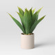 New - 12" Artificial Wide Leaf Succulent in Dolomite Pot Green - Threshold