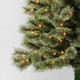 Open Box 4.5' Pre-lit Virginia Pine Artificial Christmas Tree Clear Lights - Wondershop